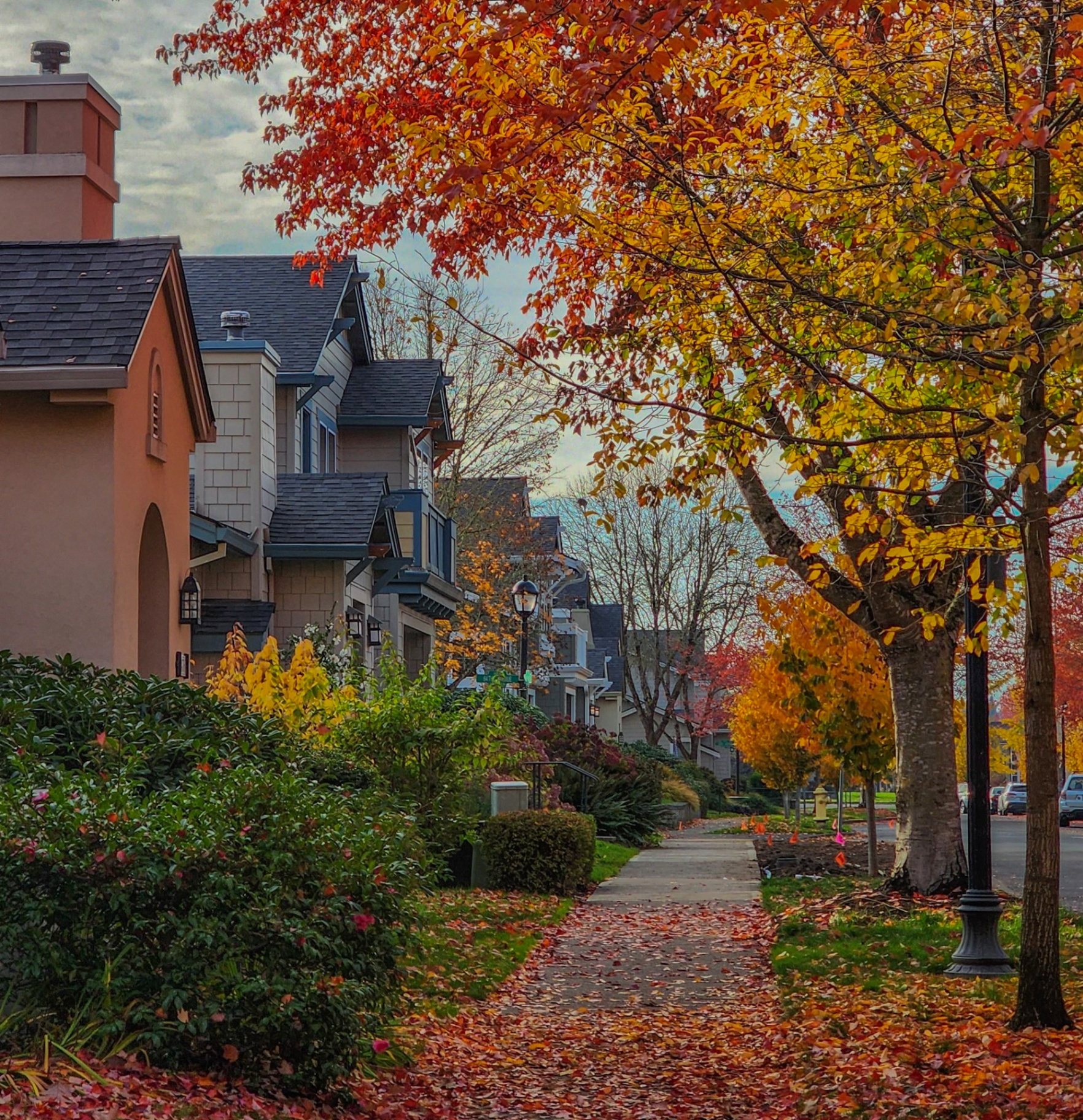 Elk Grove, a luxury neighborhood in Placer County, California